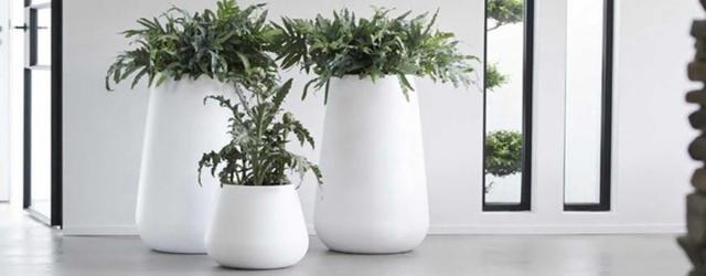 Modne doniczki do domu – styl, natura i elegancja w jednym
